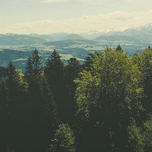 Meet your Posher, Dakota